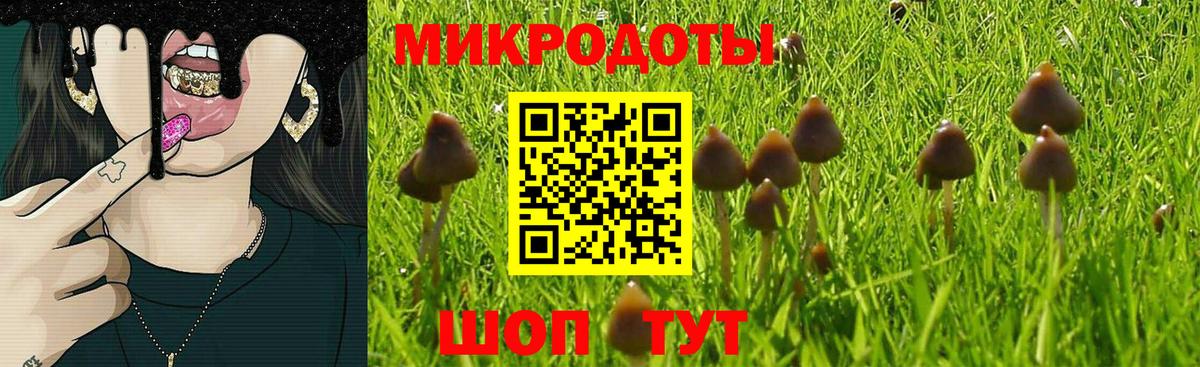 Галлюциногенные грибы Cubensis Десногорск