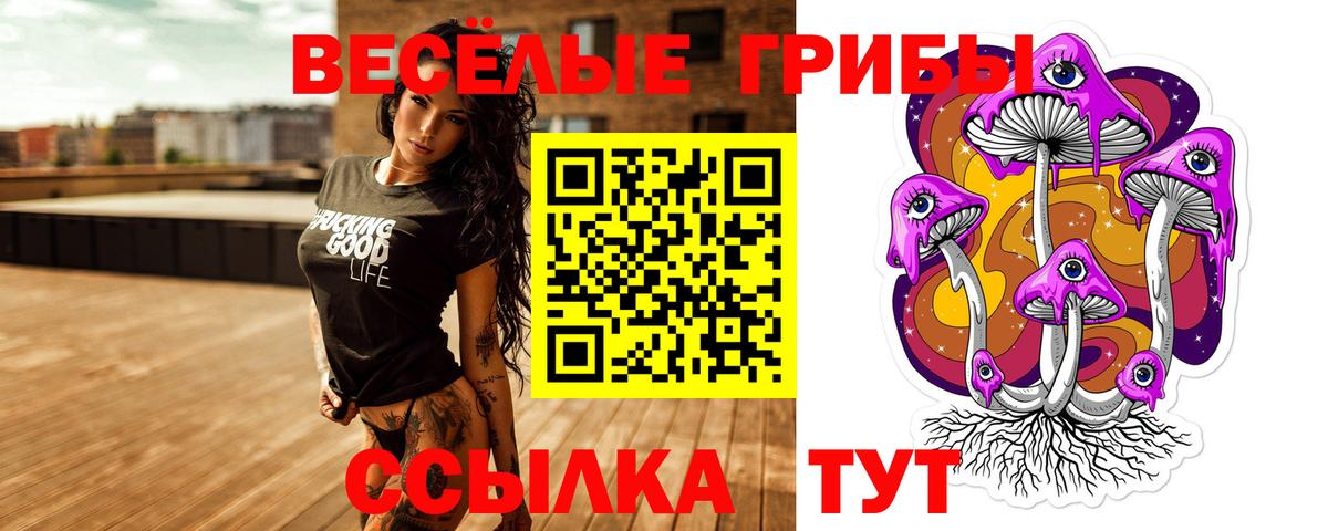 Десногорск  Псилоцибиновые грибы Psilocybe  Вход с VPN 