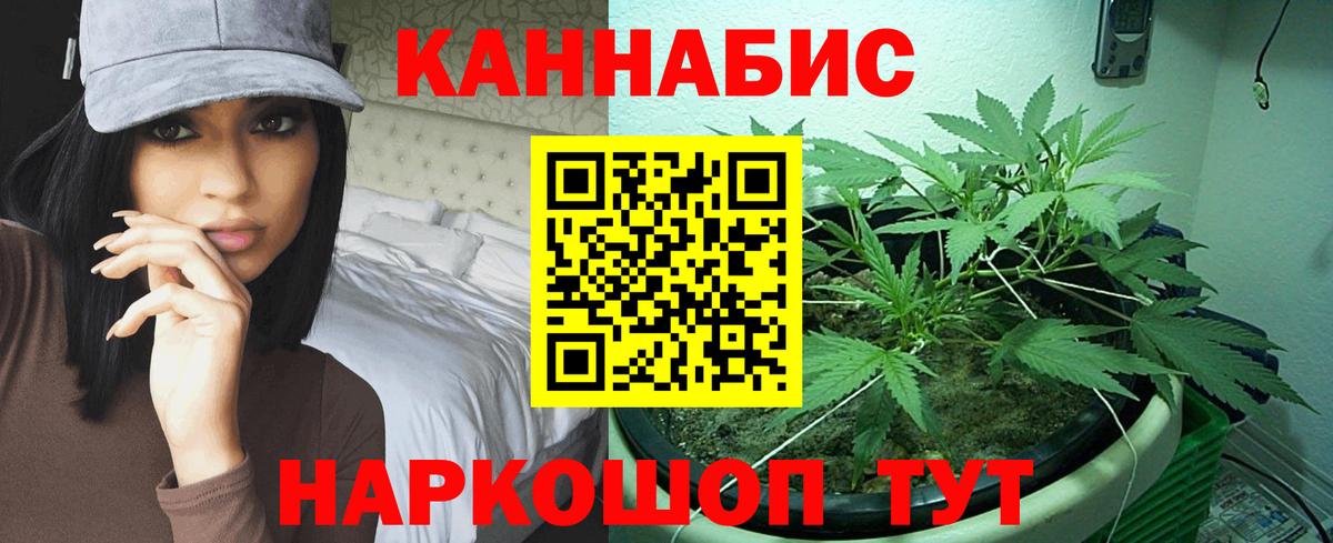 Марихуана планчик  Каннабис гибрид  Десногорск  МАРИХУАНА тримм  Вход с VPN  Бошки Шишки сатива 